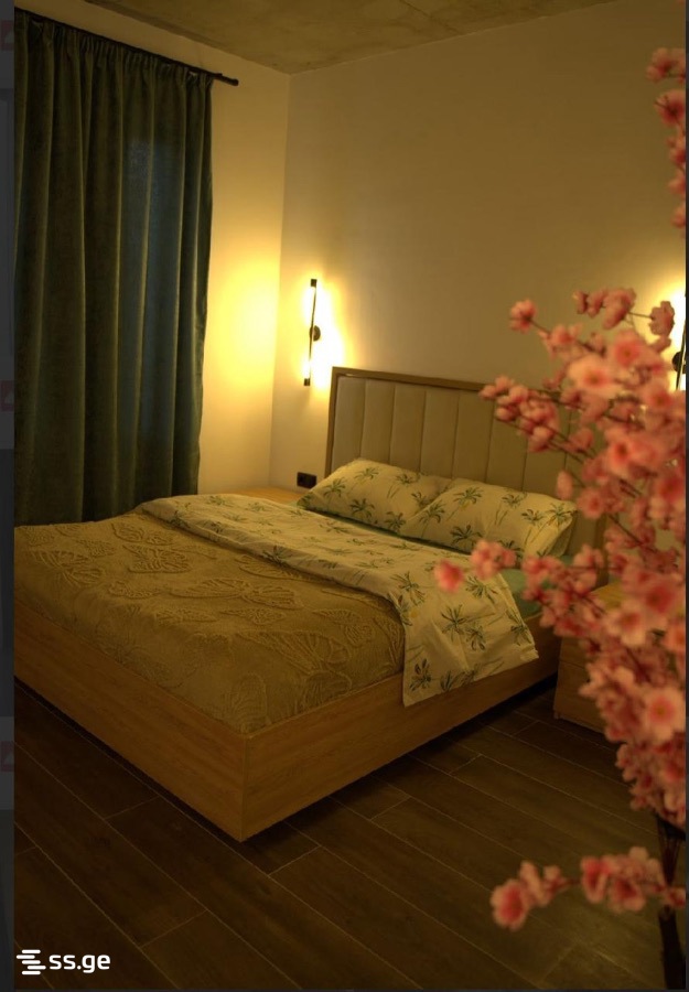 5 Room Private House Daily Rent. Bazaleti view 4