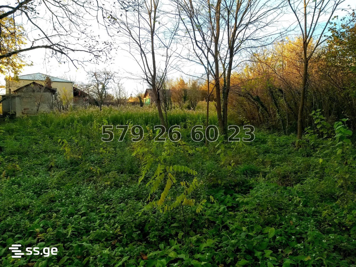 Land For Sale. Kutaisi view 5