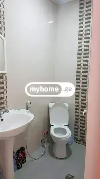 https://static.ss.ge/20260918/18_2e2d32a9-b6c9-4ab8-93e6-12b995de6bd5_Thumb.jpg