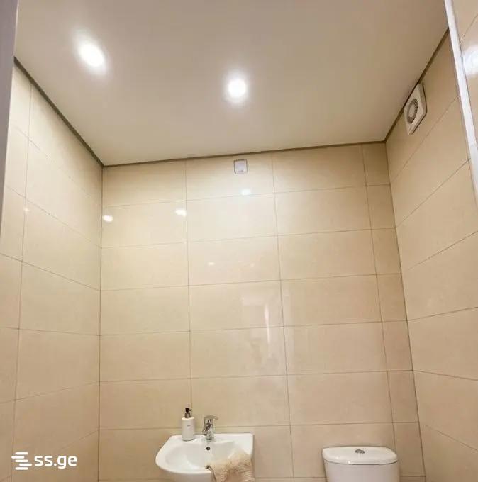 Commercial Space For Sale. Didube view 3