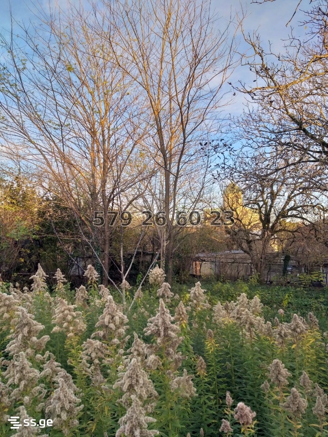 Land For Sale. Kutaisi view 4
