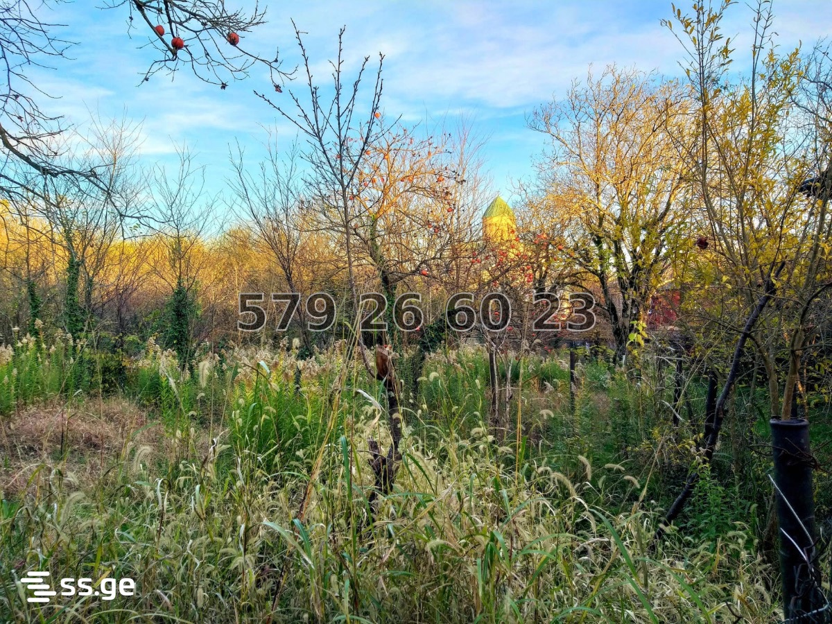 Land For Sale. Kutaisi view 6