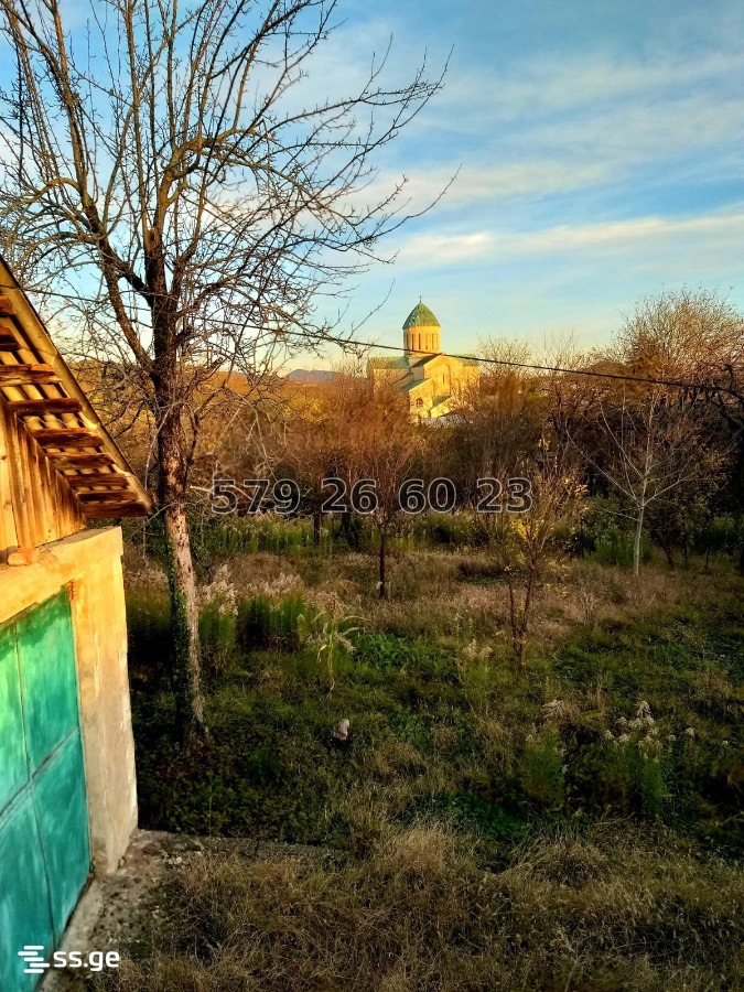 Land For Sale. Kutaisi view 1