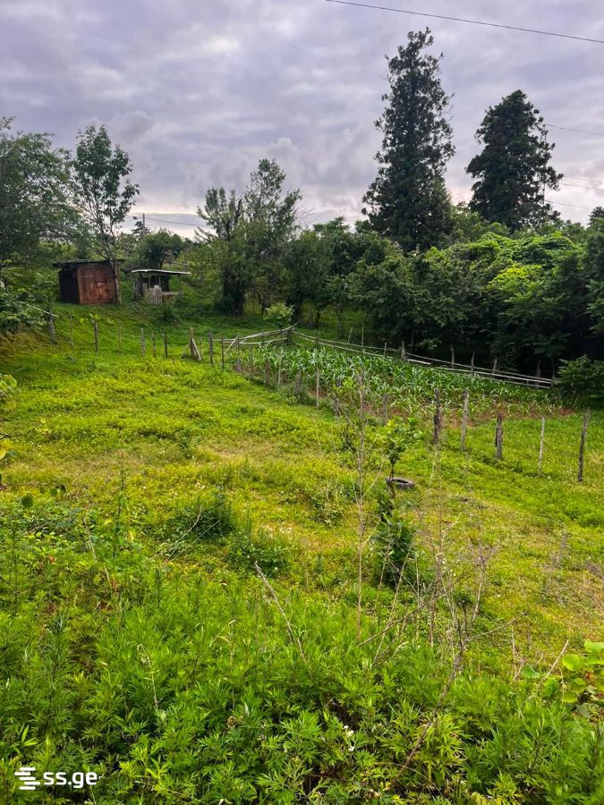 Land For Sale. Chaqvi view 2