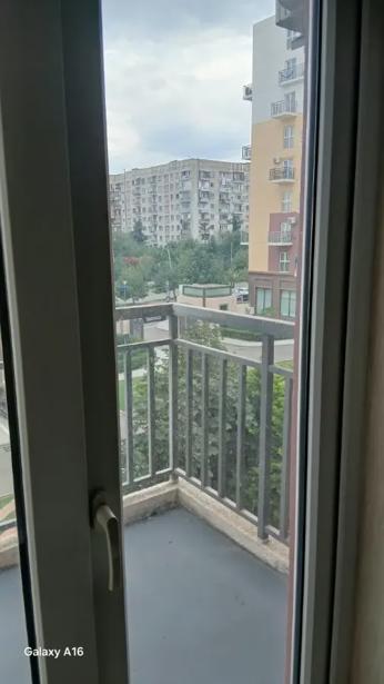 https://static.ss.ge/20260919/19_1308e96f-f285-46e6-8ef1-5924c8ef98f9_Thumb.jpg