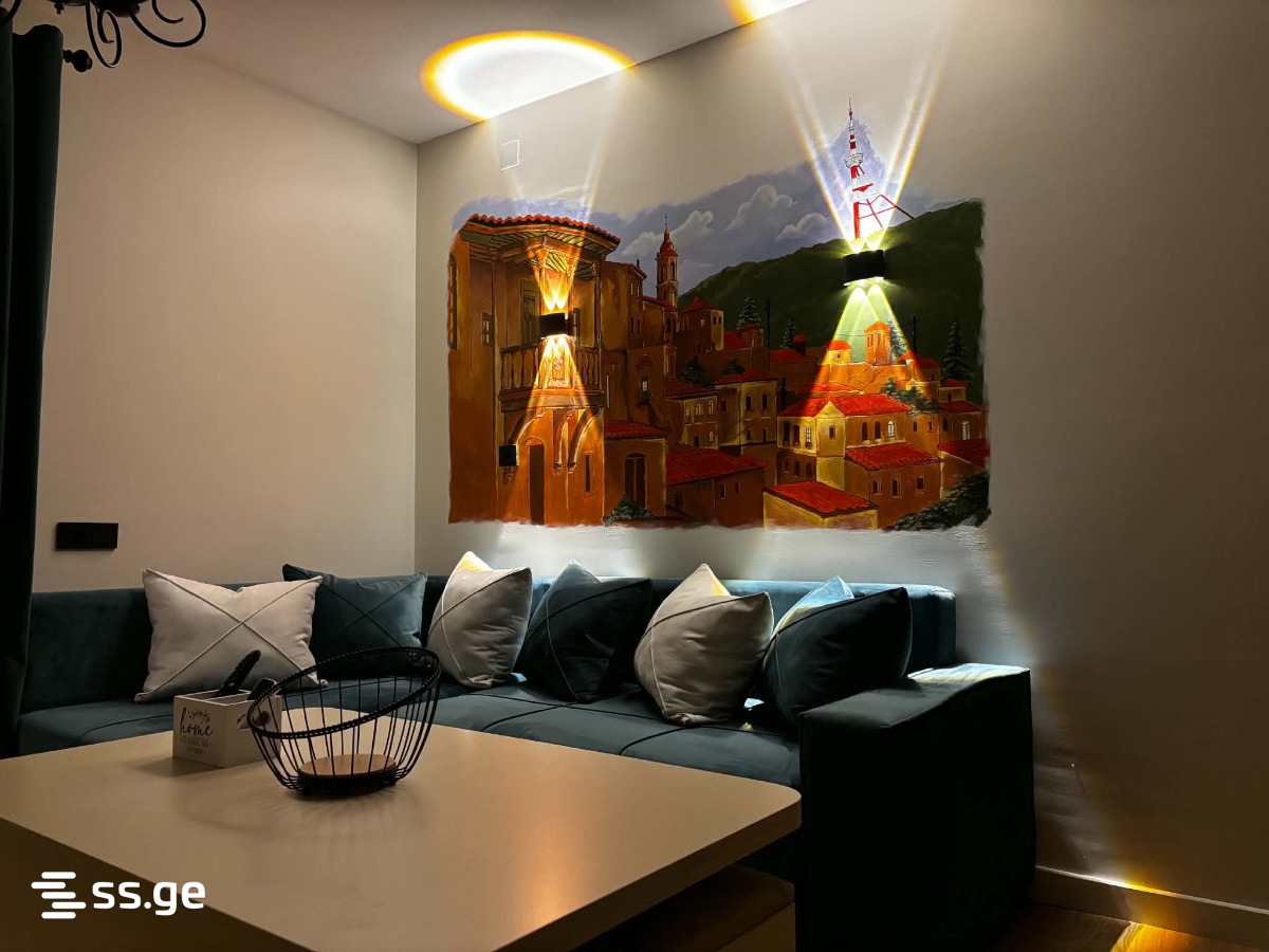 2 Room Private House Daily Rent. Avlabari view 1