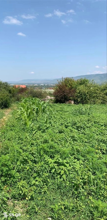 Land For Sale. Saguramo view 5