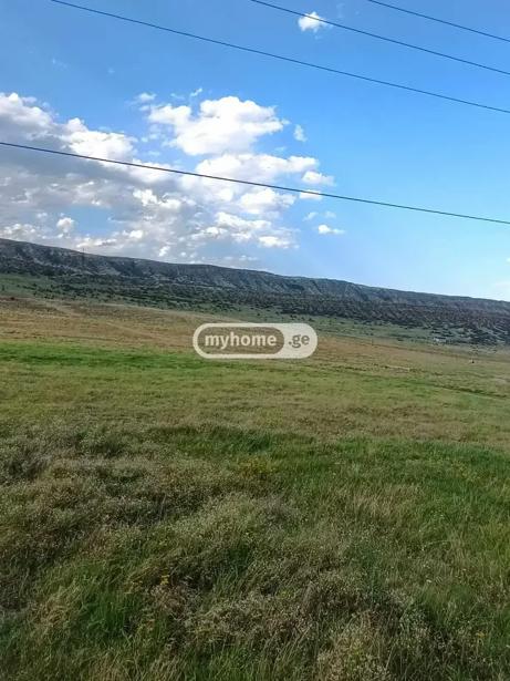 https://static.ss.ge/20260919/5_a9b96fff-eb1d-48ba-9759-ff1ef04e44f1_Thumb.jpg