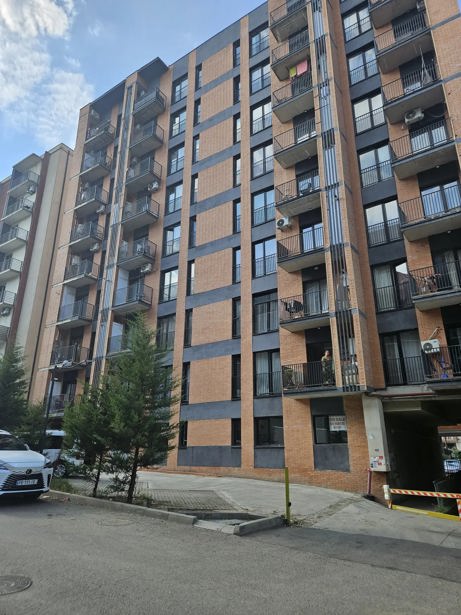 https://static.ss.ge/20260919/7_e5999b9d-6b03-4ff8-b91f-f7a49e37511c_Thumb.jpg