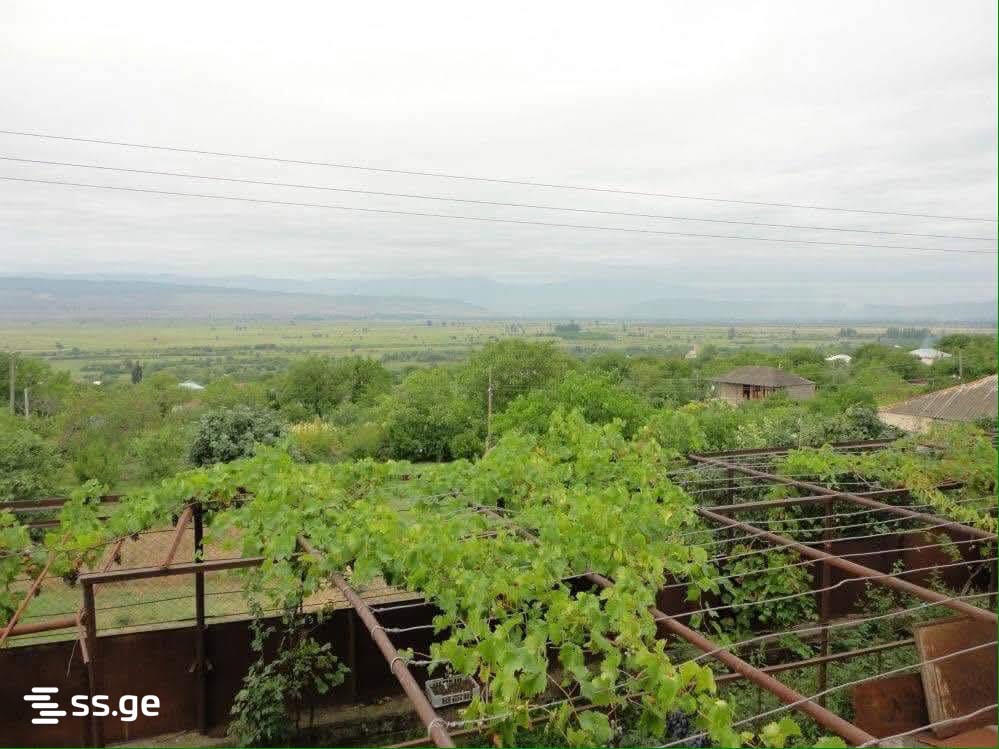 Продажа Summer Cottage в цилкани view 11