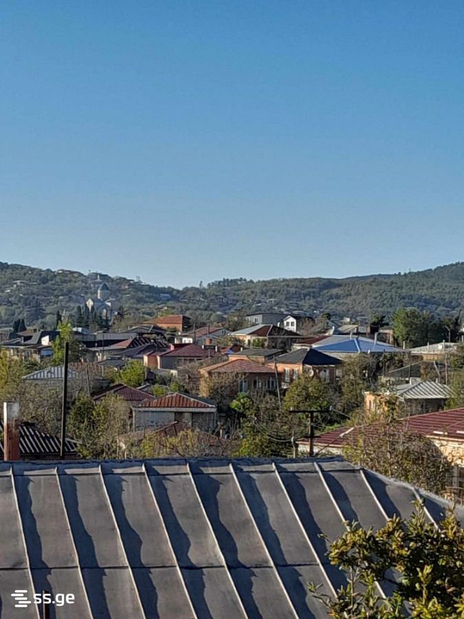 3 Room Private House For Rent. Kutaisi view 1