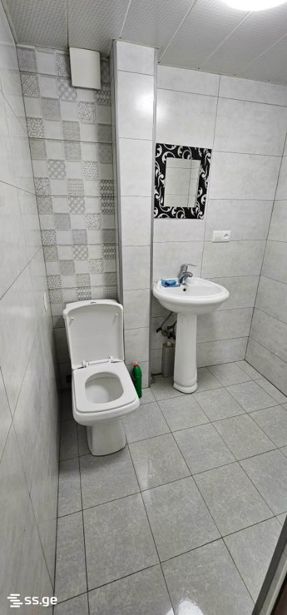 https://static.ss.ge/20260921/11_820c9b43-4605-420e-89c6-ab3bac70c594_Thumb.jpg