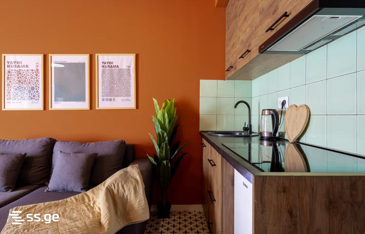 1 Room Flat For Rent. Gudauri view 3