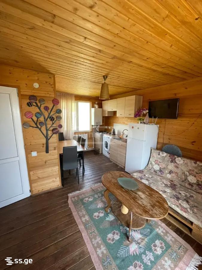 3 Room Private House For Rent. Napetvrebi view 11