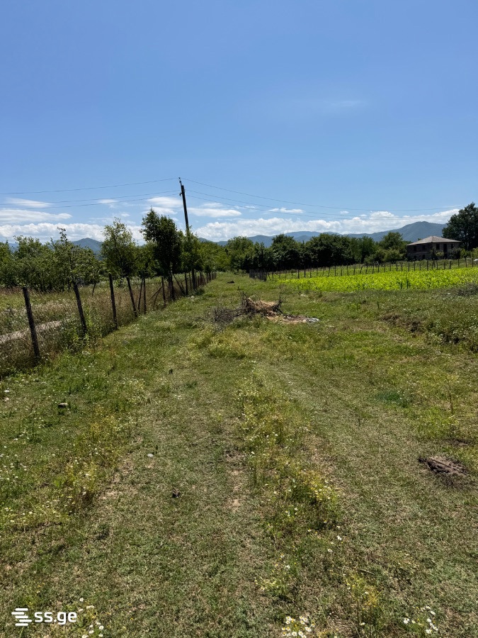 Land For Sale. Zestaphoni view 6