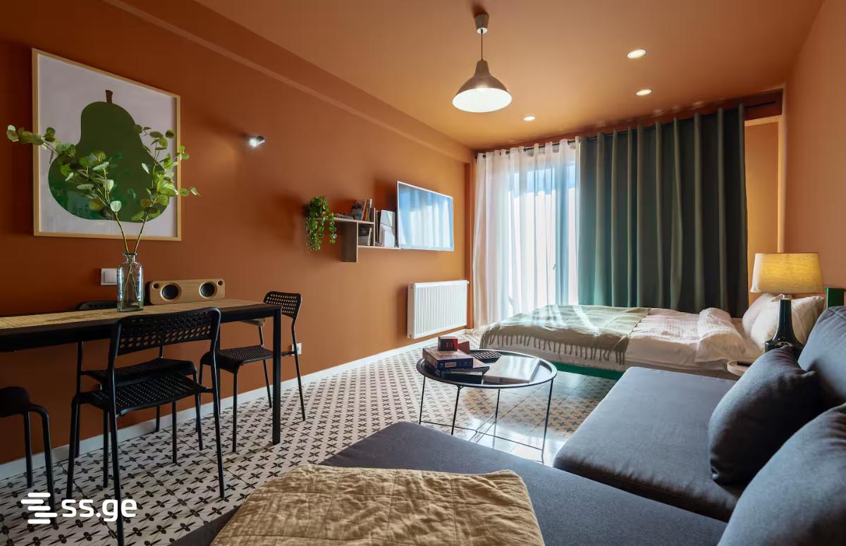 1 Room Flat For Rent. Gudauri view 5