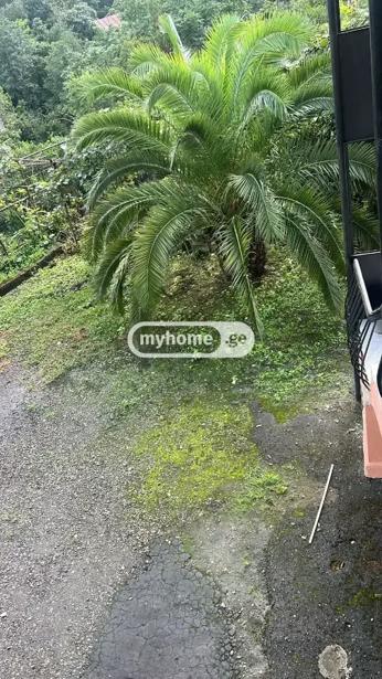 https://static.ss.ge/20260921/18_5e88493a-2a46-47ac-b406-0ea9ad350884_Thumb.jpg