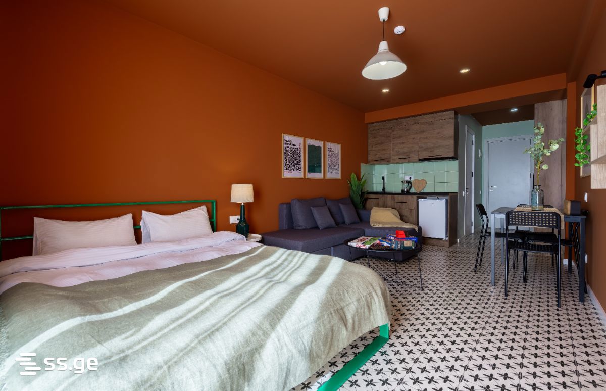 1 Room Flat For Rent. Gudauri view 1