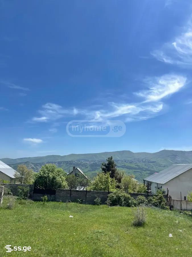 3 Room Private House For Rent. Napetvrebi view 13