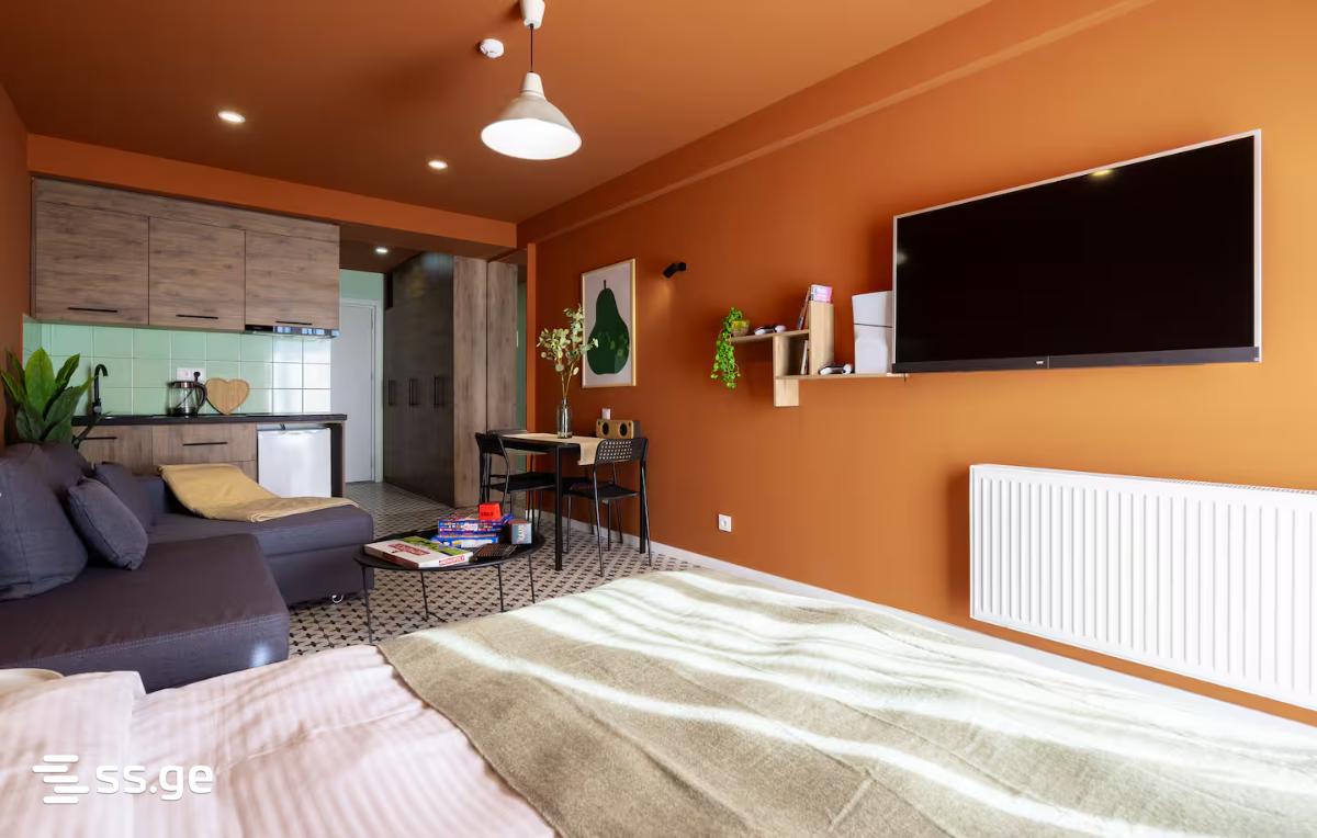 1 Room Flat For Rent. Gudauri view 7