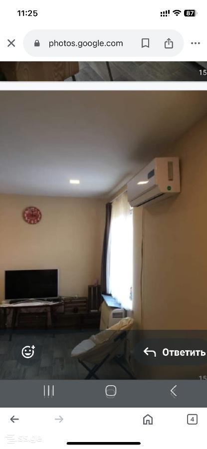 1 Room Flat Daily Rent. Zugdidi view 3