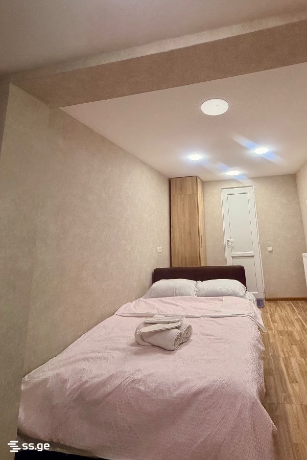 1 Room Flat For Rent. Borjomi view 3