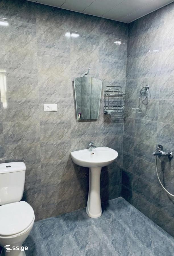 1 Room Flat For Rent. Borjomi view 3