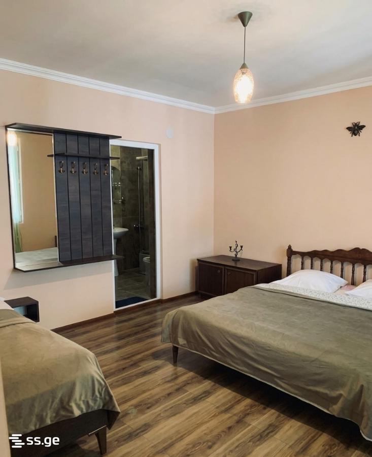 1 Room Flat For Rent. Borjomi view 1