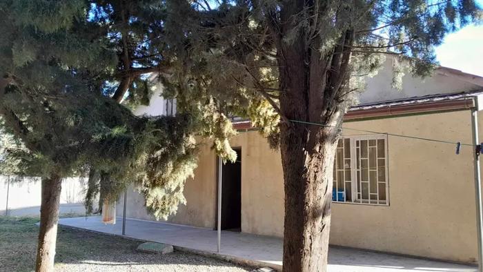 https://static.ss.ge/20260922/14_8902e88f-3668-4a35-ba27-2ece8bbc5809_Thumb.jpg