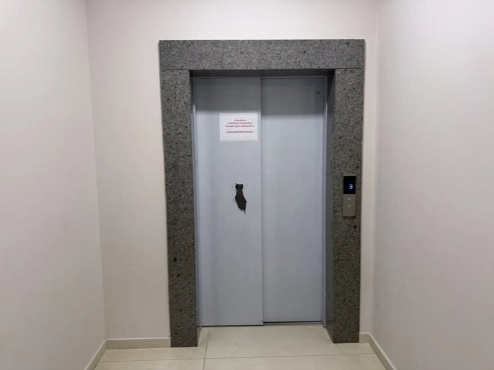 https://static.ss.ge/20260922/14_a6be52de-5d81-4c60-951c-8836a0aa3ae8_Thumb.jpg