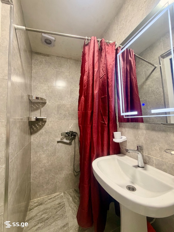 1 Room Flat For Rent. Borjomi view 4