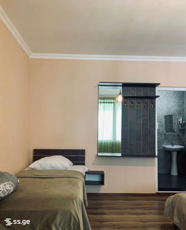 1 Room Flat For Rent. Borjomi view 4