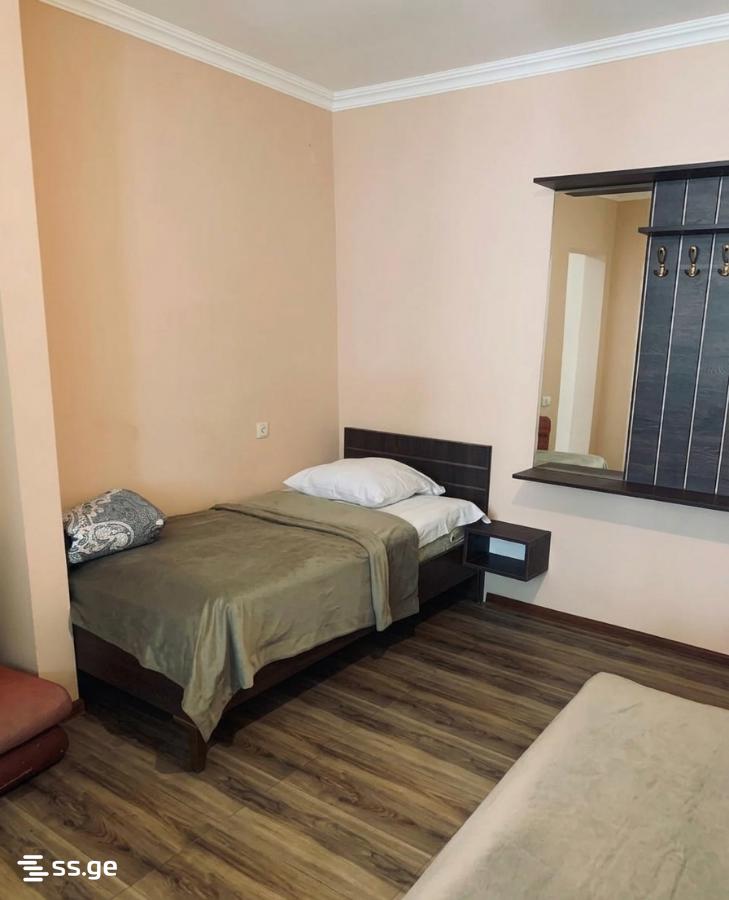 1 Room Flat For Rent. Borjomi view 2