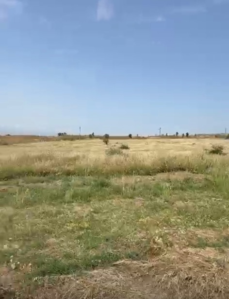 https://static.ss.ge/20260922/8_86bf35b9-9d44-442b-baf3-4e51f3423e0f_Thumb.jpg