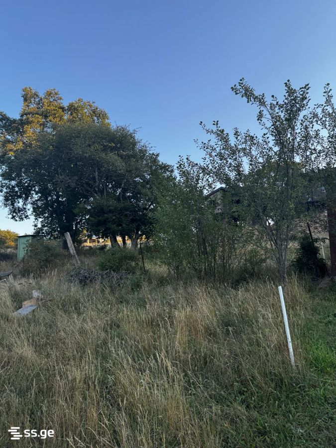 Land For Sale. Kiketi view 4