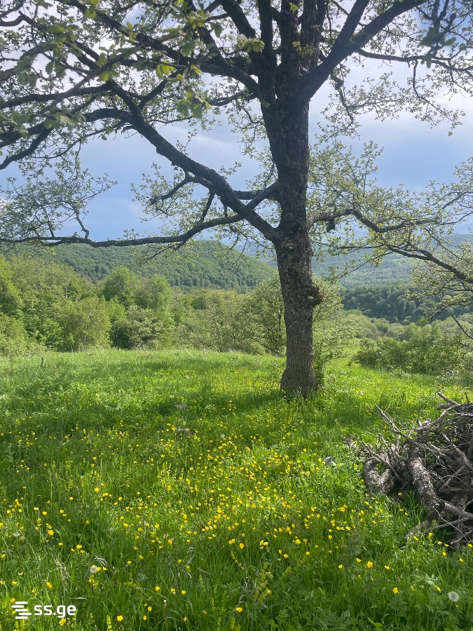 იყიდება მიწა ორბეტიში view 2