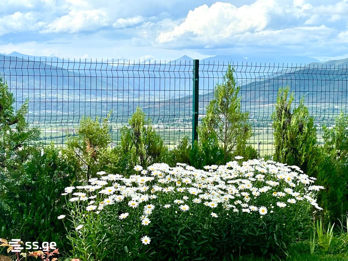 3 Room Flat For Rent. Saguramo view 11