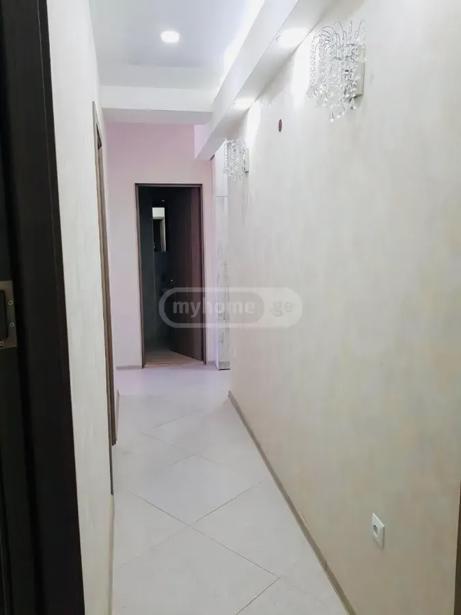 https://static.ss.ge/20260923/13_7a5e9a60-b586-494f-881e-0aed32deb836_Thumb.jpg