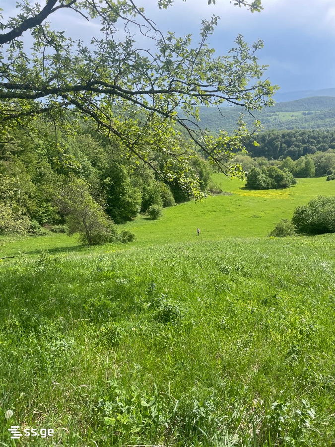 იყიდება მიწა ორბეტიში view 1