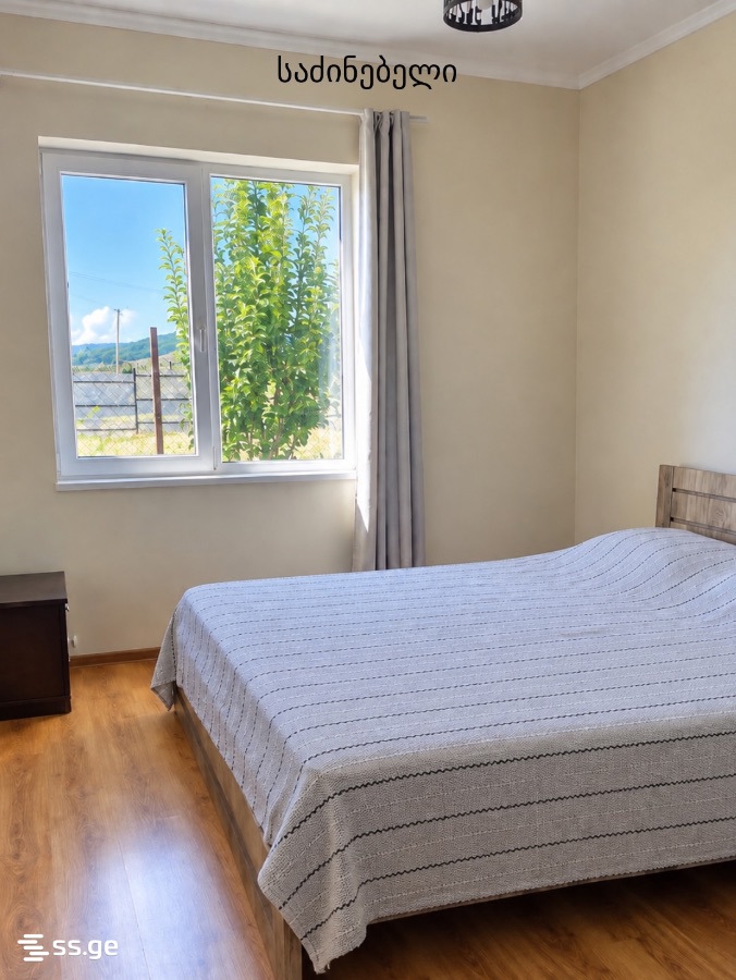 5 Room Private House Daily Rent. Bazaleti view 3