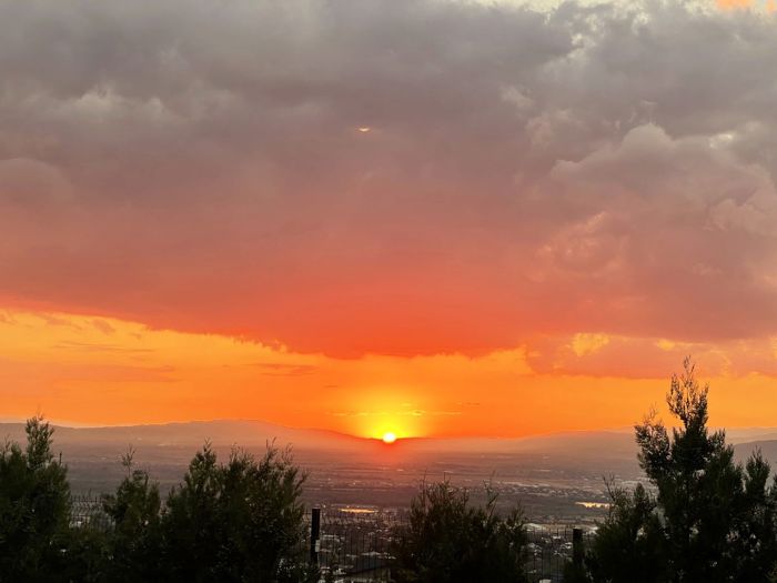 https://static.ss.ge/20260923/2_90817dbb-eb4c-4994-864c-6e5d8151fcc4_Thumb.jpg