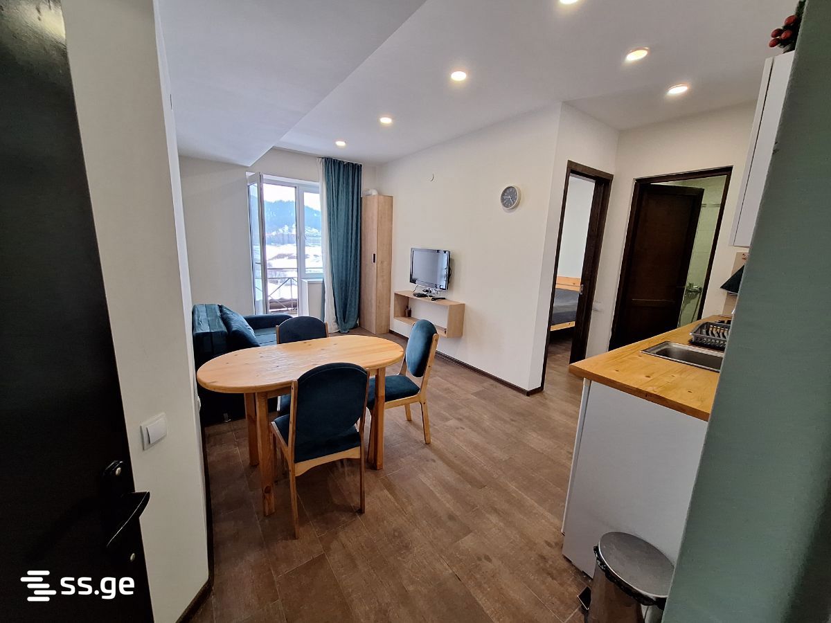 2 Room Flat For Rent. Bakuriani view 2