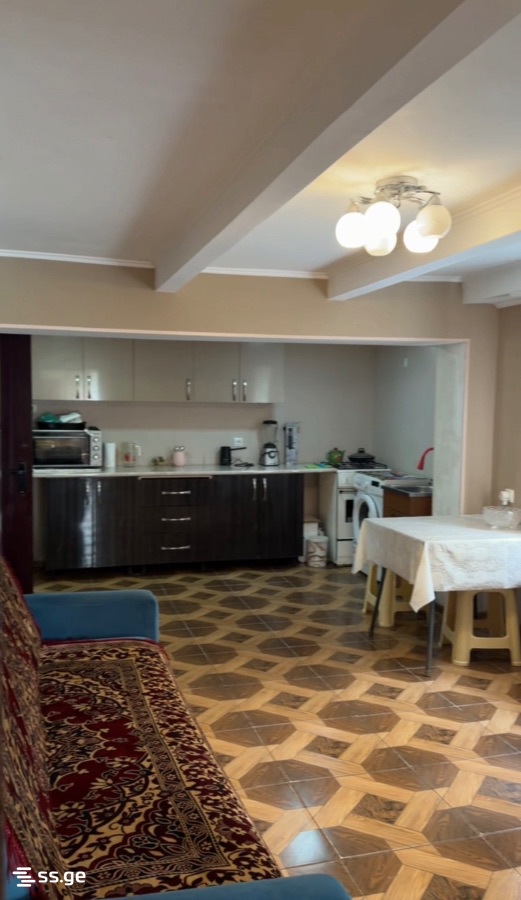 3 Room Private House For Rent. Samtredia view 3