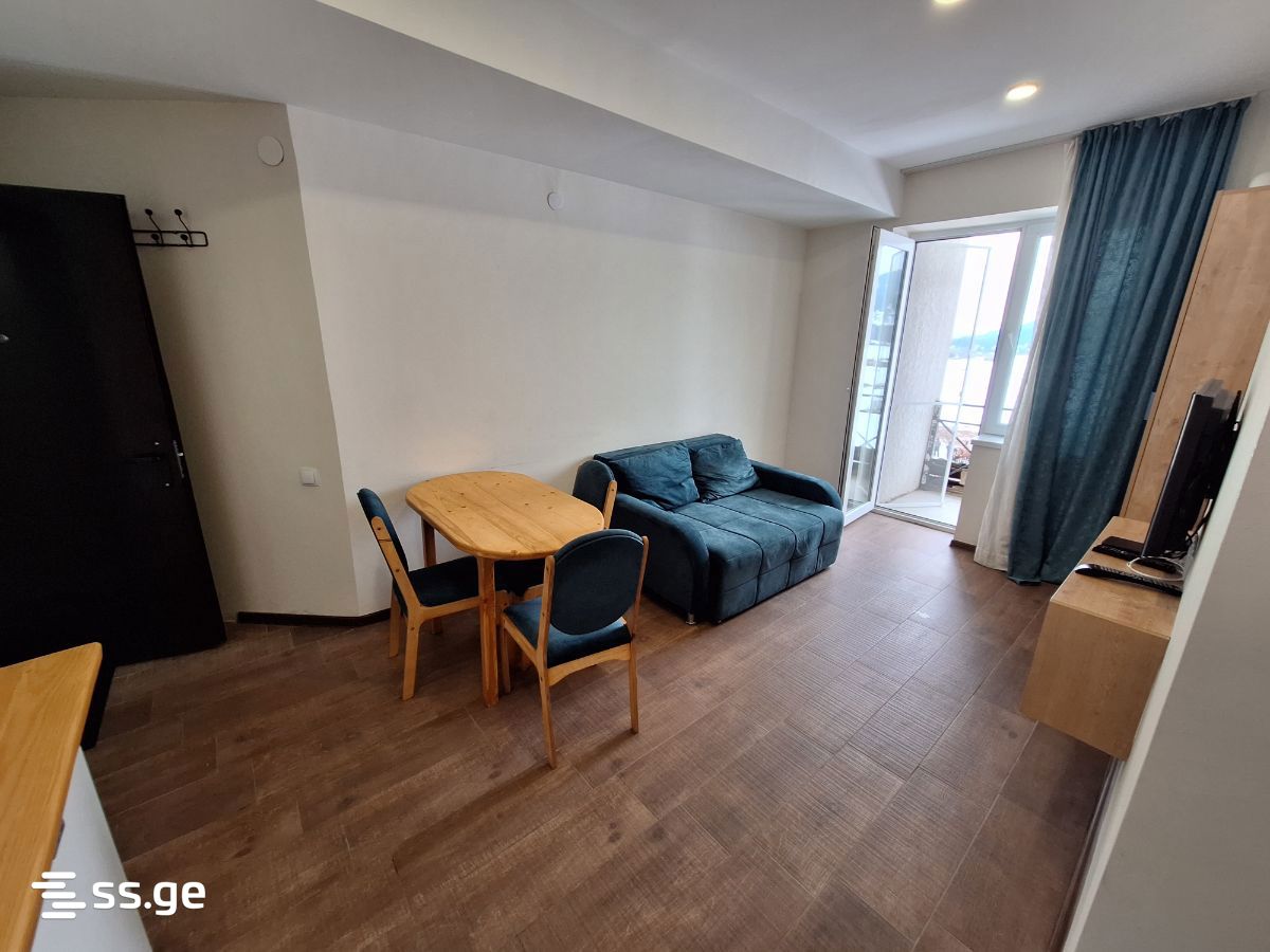 2 Room Flat For Rent. Bakuriani view 3