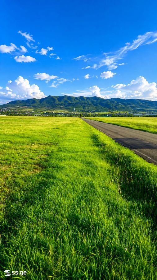Land For Sale. Tsilkani view 4