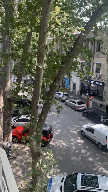 https://static.ss.ge/20260924/0_fc9cd182-aaa0-4063-8907-1444deedf267_Thumb.jpg