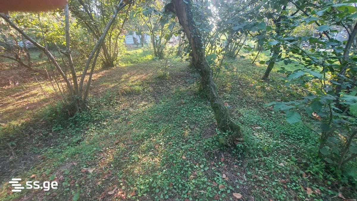 Land For Rent. Gonio view 4