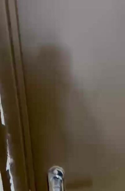 https://static.ss.ge/20260924/16_179915a8-4dfb-4a26-90bd-2a19d85998ce_Thumb.jpg