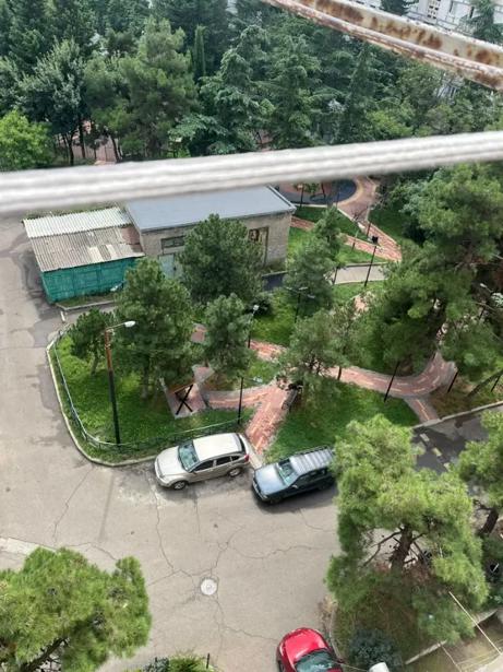 https://static.ss.ge/20260924/16_27f59be8-c499-40fd-b445-f6d28254029d_Thumb.jpg