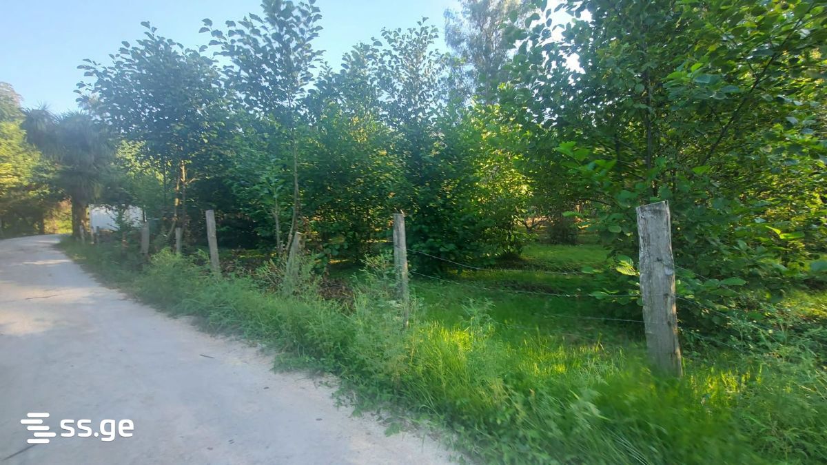 Land For Rent. Gonio view 1